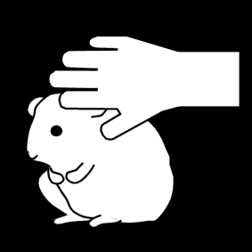 hamster: petting